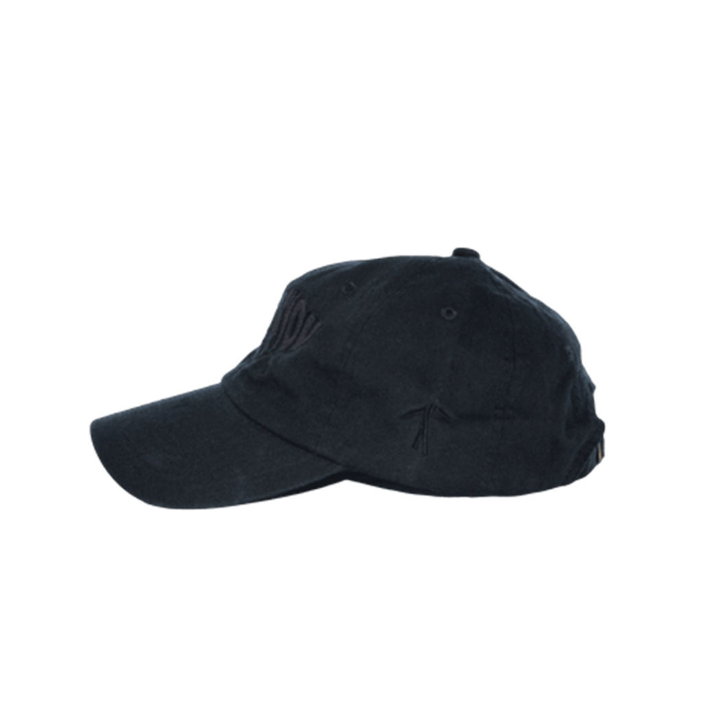 WAVY LOGO COACH HAT (BLACK)