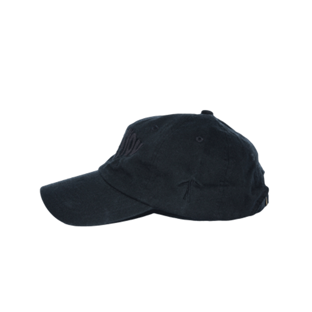 WAVY LOGO COACH HAT (BLACK)